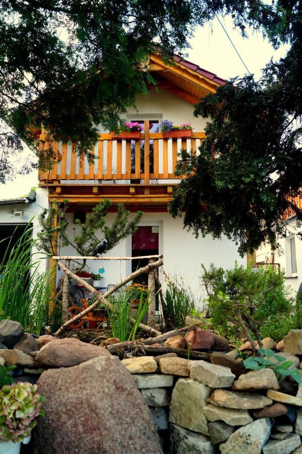 Agroturystyka U Willima Mechnica Экстерьер фото