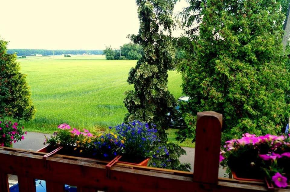 Agroturystyka U Willima Mechnica Экстерьер фото